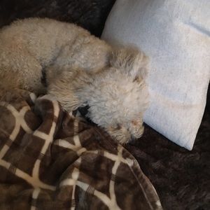 Meet your Posher, Marmaria